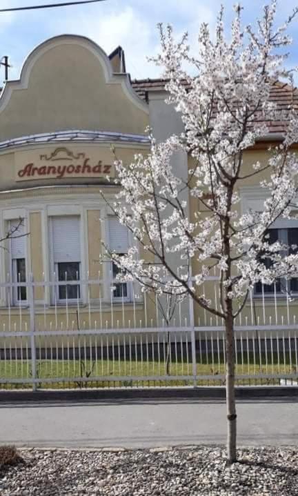 Aranyoshaz-Vendeghaz Leilighet Budapest Eksteriør bilde